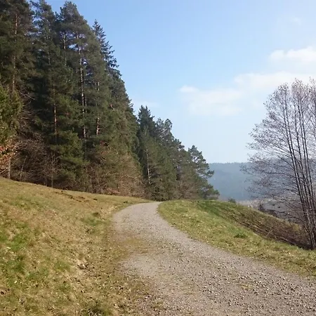Schwarzwaldoase Apartment Baiersbronn